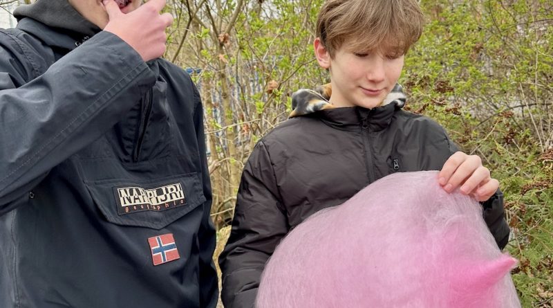 Proutkování II. - Foto a video