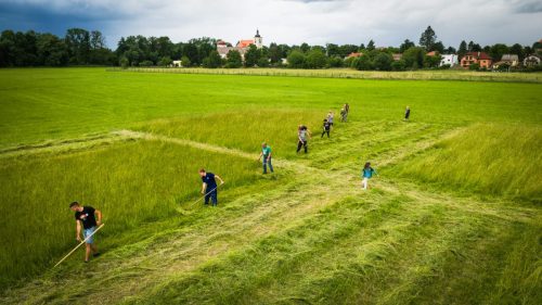 Cirkvickysekac2026-51
